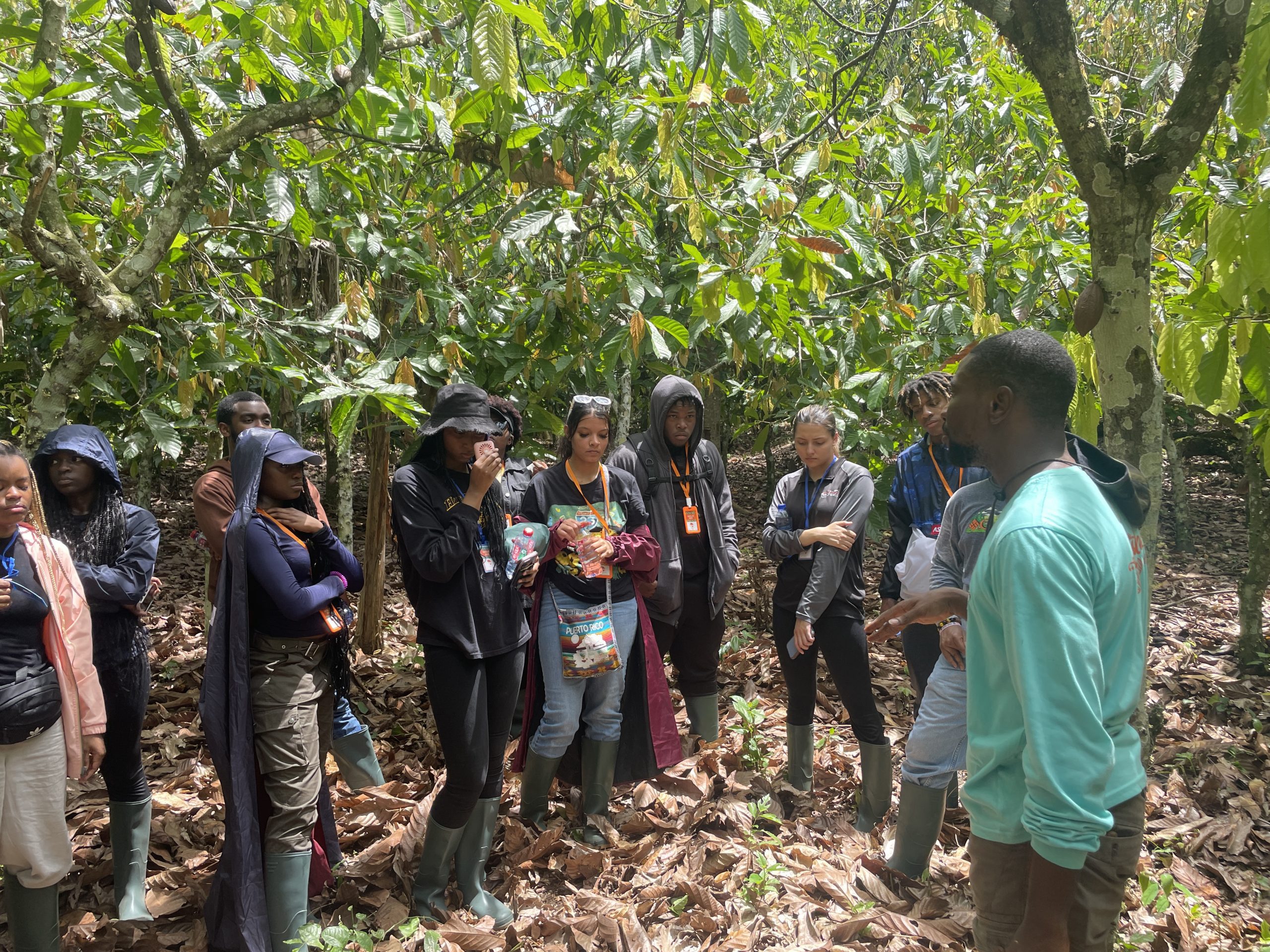 UConn Students at a Cocoa Farm in Ghana